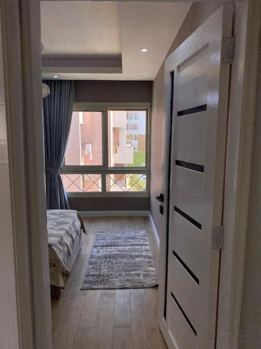 Apartment New Rehab Haven *