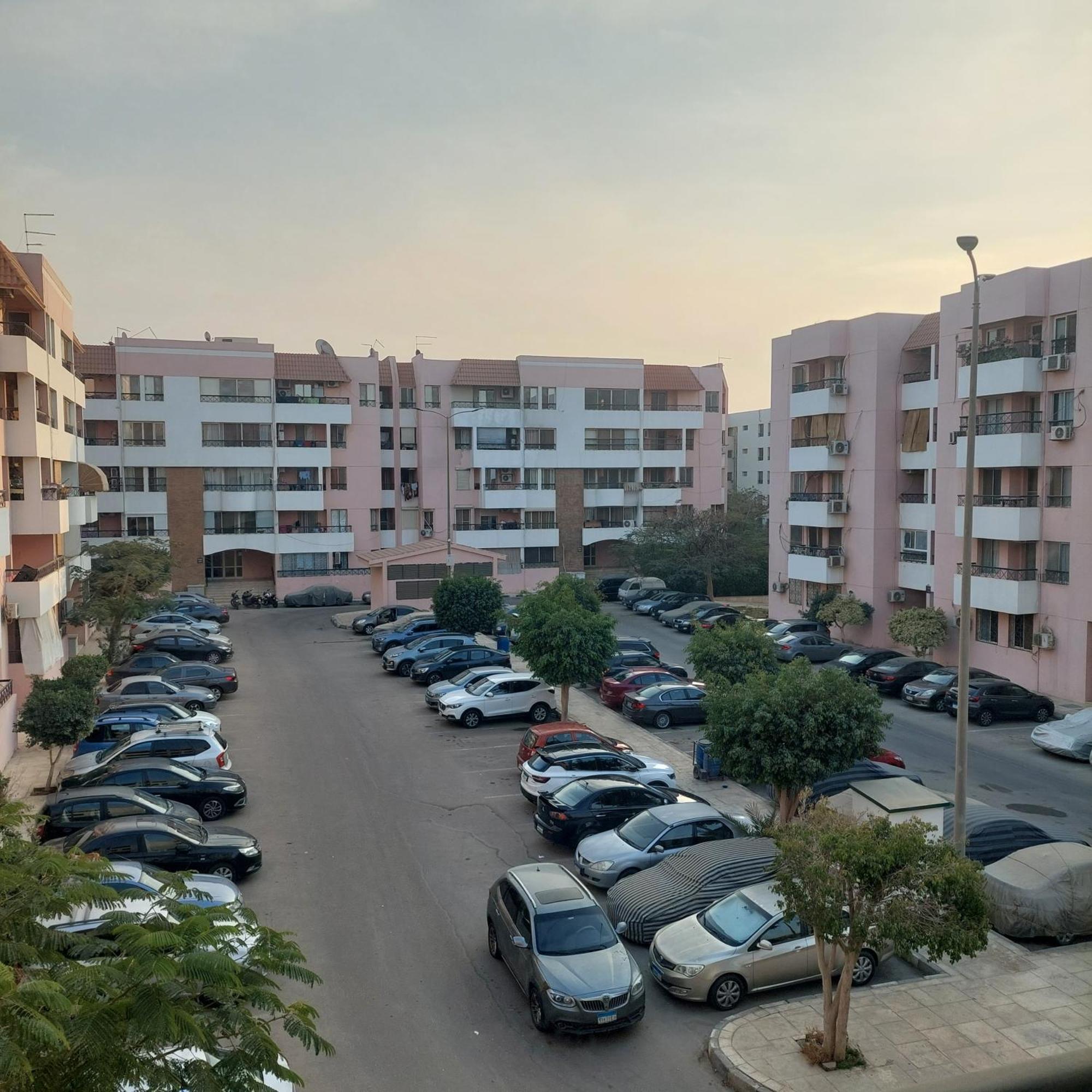 New Rehab Haven Cairo